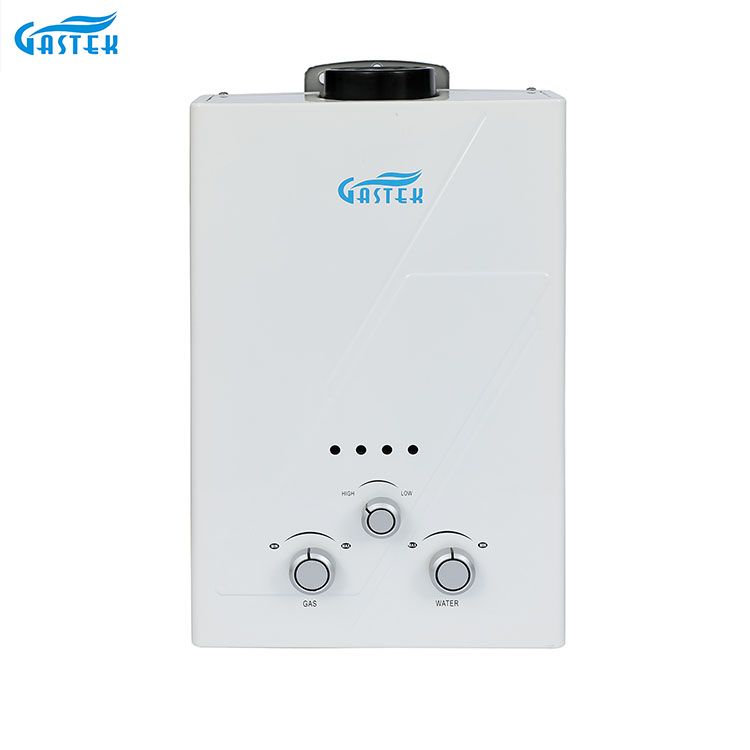 Tipe Buang Terpasang Di Dinding 6L 10L 12L 16L 20L LPG Tankless Gas Geyser Instan untuk Mandi