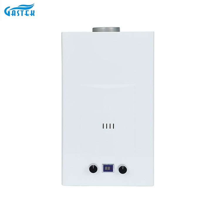 Flue Type 6L 8L 10L 12L 16L 18L 20L Tankless Instan LPG Gas Geyser Untuk Mandi